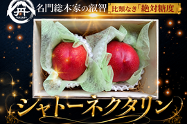 【周りに差をつける幸運の贈り物】最高糖度25度の比類なき絶対糖度完熟シャトーネクタリン☆朝どれ高級もも☆贈答・家庭用・お中元ギフトにも喜ばれる逸品【朝どれ】🍑8月上旬予約🍑