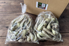 ☆有機JAS認証☆シャキシャキ食感！らっきょう　500g×2袋