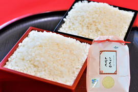 【令和7年産】毎日5合なら約26日分！茨城県産ミルキークイーン　しづくのしずく20kg（5kg×4袋）