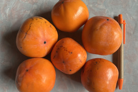 小さめ渋柿2Kg。柿酢など瓶詰めしやすい。干し柿にも