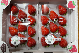 甘酸っぱい！奈良県産いちご奈乃華270g×2Ｐ