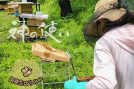 完全非加熱　[神の使いHONEY]　生はちみつ　300ｇ