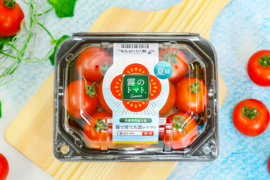 夏でも美味しいフルーツトマト｜霧のトマトsummer  200g×4パック