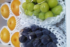 完熟シャインマスカット&ピオーネ&和梨セット(大)