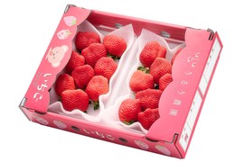 【予約販売 2026年11月下旬～順次発送】🍓あまおう苺 サイズ色々❤️270ｇ×2パック！