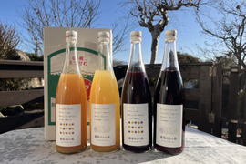 【福袋】【冬ギフト】ワイン用ぶどうで作ったジュース　4品種4本　飲み比べセット　720ml✖️4本