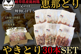 【父の日ギフト】産地直送！ 『恵那どり』 焼くだけ簡単✨やきとりSET（冷凍）