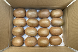 農薬不使用キウイフルーツL玉16個 2kg