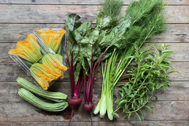 農薬不使用：おまかせ季節の野菜セットS 【5-6種】