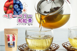 【人気急上昇】ベリーベリー和紅茶／2g×8 お茶 フルーツティー ティーバッグ 松田製茶 猿島茶 日本茶インストラクター監修 TBG-044