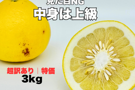 土佐文旦 超訳あり｜見た目NGでも中身同じ 今が食べ頃 60日仕上げ 3kg お試し