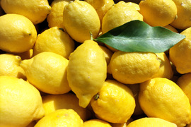 広島県産！春レモン(約3.5㌔)