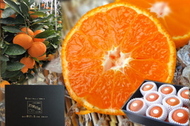 【夏ギフト】【お中元】とろける甘さのハウスみかん!薄皮で果汁たっぷり!冷やしてやみつき!ネットで話題のブランドみかん「蜜ツ星(みつぼし)」 黒化粧箱(中) Sサイズ 秀品 15玉入 【商品番号03】