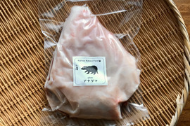 希少✨アナグマ肉【アバラ（骨付）特A】650gブロック(221114-1) フレンチで人気のジビエ