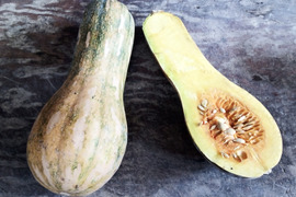 【えひめ・しまなみの島かぼちゃ】瀬戸内よりお届け！愛媛県産かぼちゃ（鶴首かぼちゃ）10㎏【約7〜9個・サイズ混合・ご家庭用】カタチもさまざまなかぼちゃたちをお楽しみください！