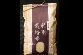 丹波こしひかり特別栽培米5kg
