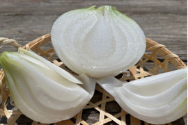 甘くみずみずしい　❣❣　　　　
　九十九里産　新玉ねぎ　2Kg