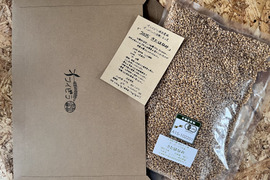 きたほなみ900g　オーガニック（有機）玄小麦2025年産　※小麦粉じゃありません