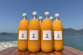 みかんの美味しさが詰まった！丸搾りみかんジュース 1000ml×6本