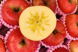 幻の蜜りんご‼️山形県産こうとく【秀3キロ】