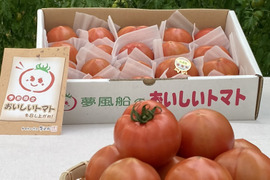 【フルーツトマトファンに】トマトハウス夢風船の高濃度フルーツトマト『おいしいトマト』（Lサイズ約２ｋｇ）