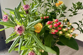 【長持ちシリーズ 〜暮らしを長く彩る花たち〜！20本】人気あり！花農家から直送！“長く寄り添う花束”です。生花として楽しんだ後は、そのままドライフラワーとしてもお楽しみいただけます。プレゼントOK!