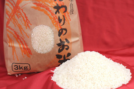 特別栽培米コシヒカリ白米5㎏