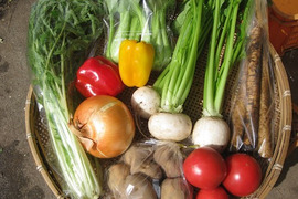 栄養価コンテスト４年連続「金賞」（小松菜）農家の　旬の野菜セット！（７品）