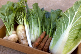 【鍋にオススメ♪】冬野菜セット2〜3名用(約5品)