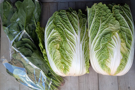 オレンジクイン白菜2玉+ほうれん草２把　【漢方栽培】