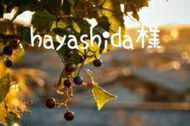 Hayashida様専用商品