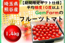 【母の日ギフト】平均糖度10度以上！珠玉のフルーツトマト（1.4kg）