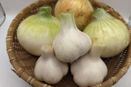 【農薬化学肥料不使用】今が旬の朝採り新玉ねぎ2kg＆新にんにく500gのセット！