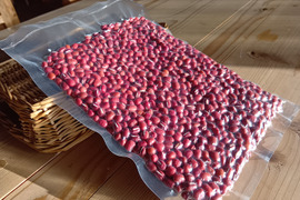 7年産　自然栽培　丹波大納言小豆　400g