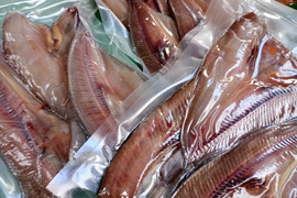 【冷凍】山形県庄内沖　ホッケ干物詰め合わせ　２パック