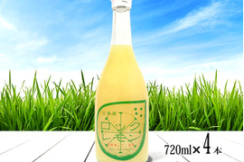 農薬不使用 レモン果汁 国産 720ml×4本 ストレート 100% 防腐剤不使用 ロックレモン