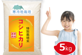 【令和7年 新米予約】特別栽培米 コシヒカリ 5kg　白米 岡山の雪国産