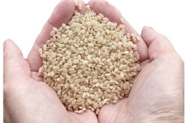 新米 令和4年 いのちの壱 玄米 10kg(5㎏×2袋) 岡山の雪国産