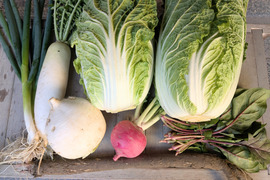 【限定】京のお正月お野菜セット【 漢方栽培】