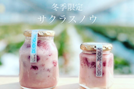 Premium Strawberry Jam コンポート　幸の香　サクラスノウ