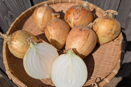 《バリうまっ！》こばさんちの玉ねぎ２KG 五島列島産 自然農業での栽培