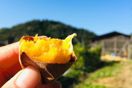 【冬ギフト】心ほっこりまったり気軽に味わう里山の滋味深い甘み（紅はるか2㎏）