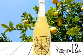 レモン果汁 ストレート 100% 国産レモン使用 720ml×12本 無添加 防腐剤不使用