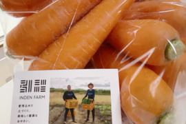 農薬・化学肥料栽培中不使用！栄養満点の春ニンジン2kg