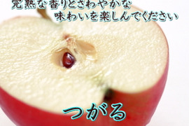 爽やかな夏リンゴ　「サンつがる」　自宅用２キロ