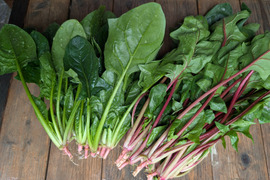 【食べ比べ】ほうれん草＆赤ほうれん草【漢方栽培】