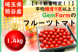 【数量限定】平均糖度9度以上！珠玉のフルーツトマト（1.4kg）