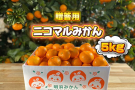🍊今が旬🍊愛媛県明浜産　温州みかん　ご贈答用　５ｋｇ