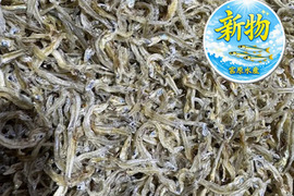 【夏ギフト】新物‼倉橋ちりめん　５００ｇ　③大き目、