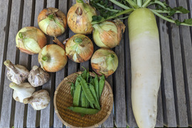 組み合わせ自由！農薬不使用4品目セット